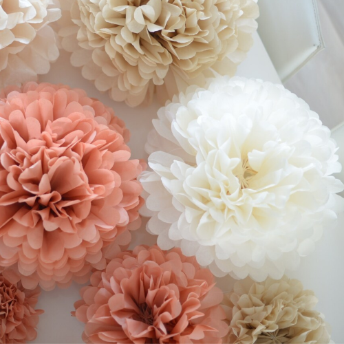 Pom Poms